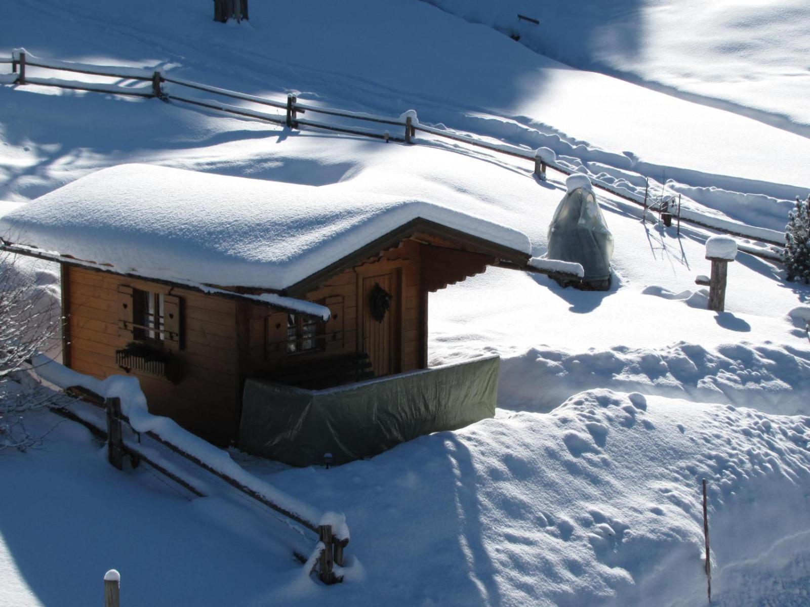 Haus Maria Wallinger Abtenau Exterior foto