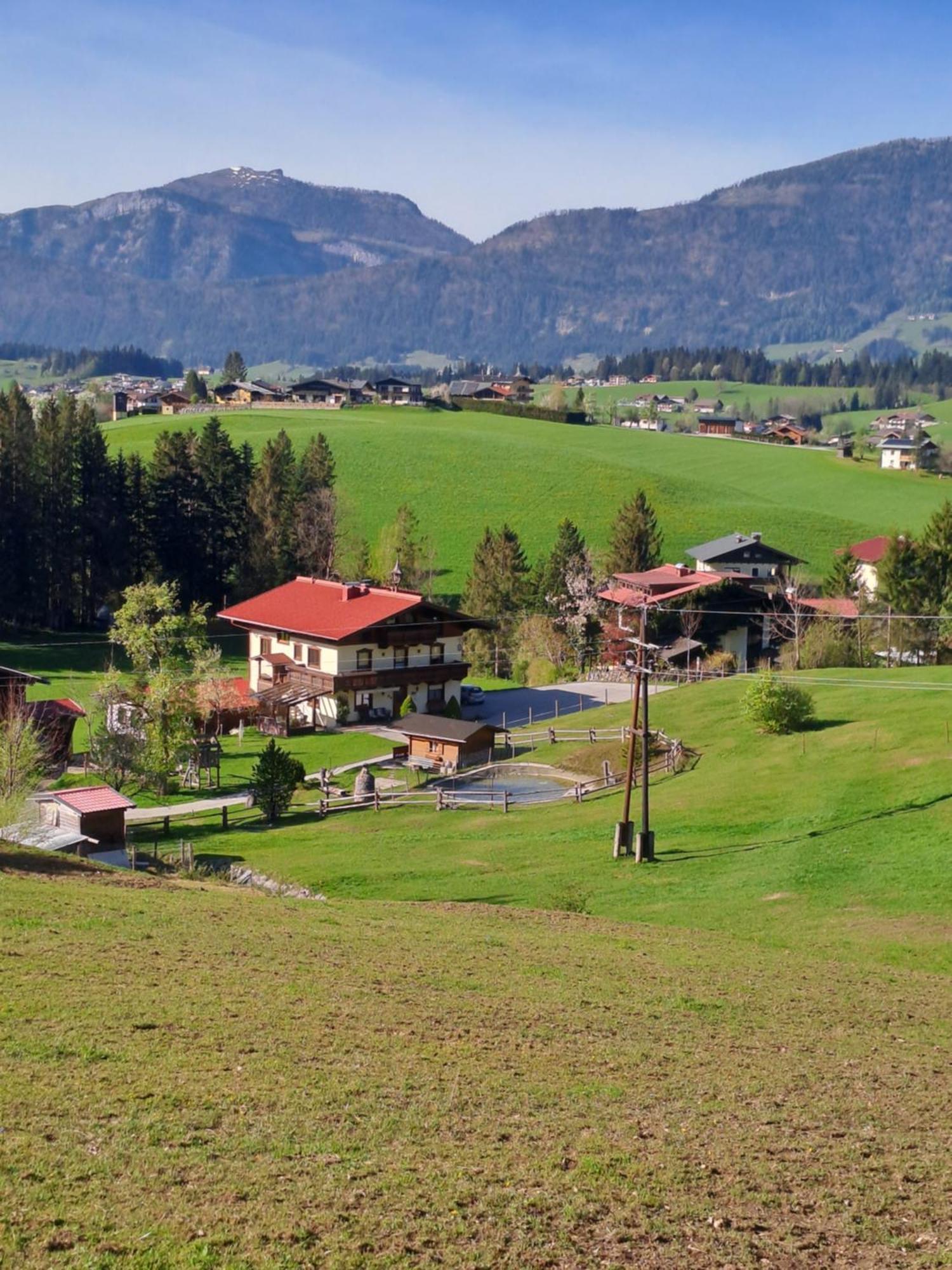 Haus Maria Wallinger Abtenau Exterior foto