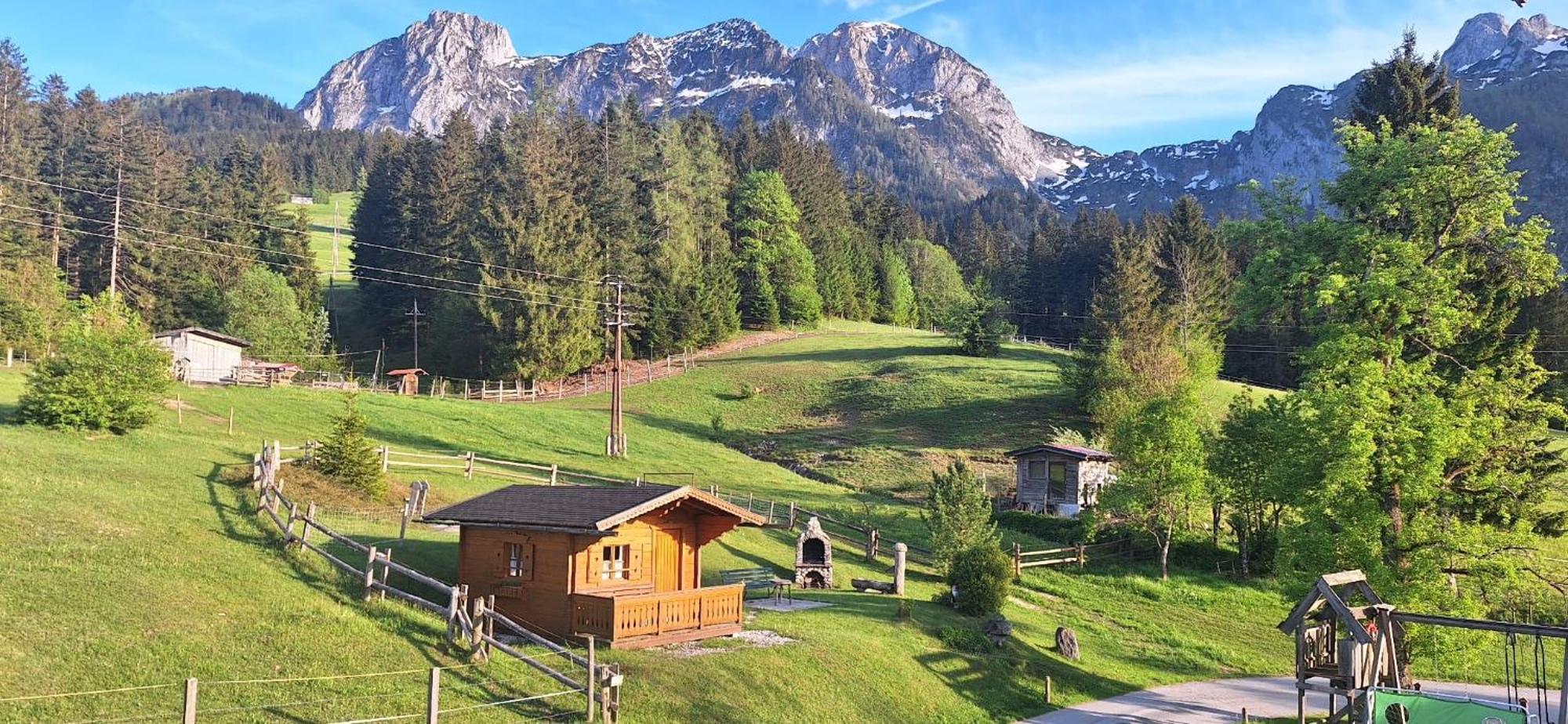 Haus Maria Wallinger Abtenau Exterior foto